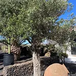 Guest house Malvasia Rural Estate & Vineyard *