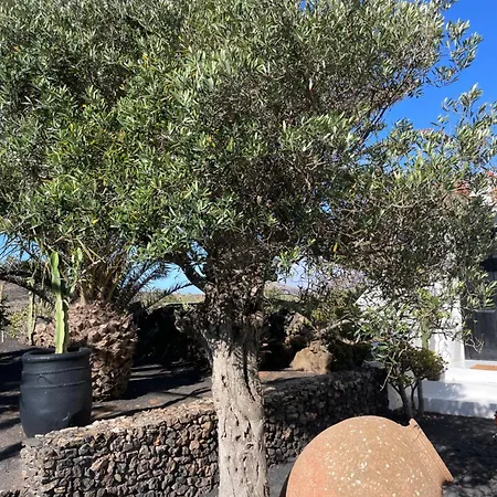 Penzion Malvasia Rural Estate & Vineyard *