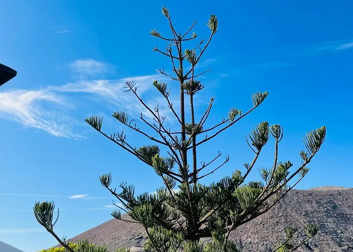 게스트하우스 Malvasia Rural Estate & Vineyard