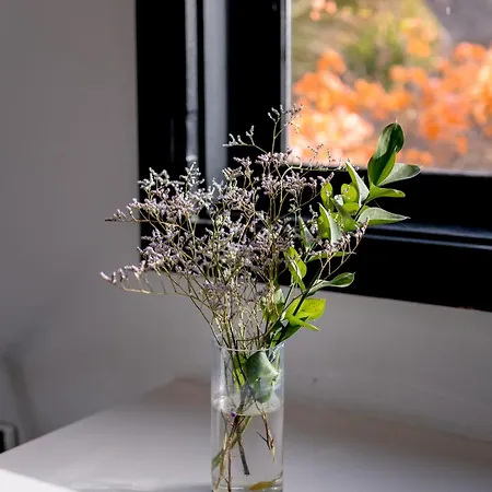 Konukevi Malvasia Rural Estate & Vineyard Tías