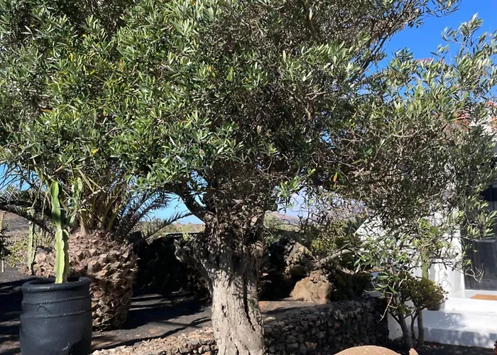 בית הארחה Malvasia Rural Estate & Vineyard *