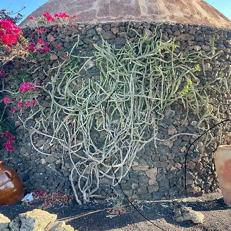 Malvasia Rural Estate & Vineyard Guest house *